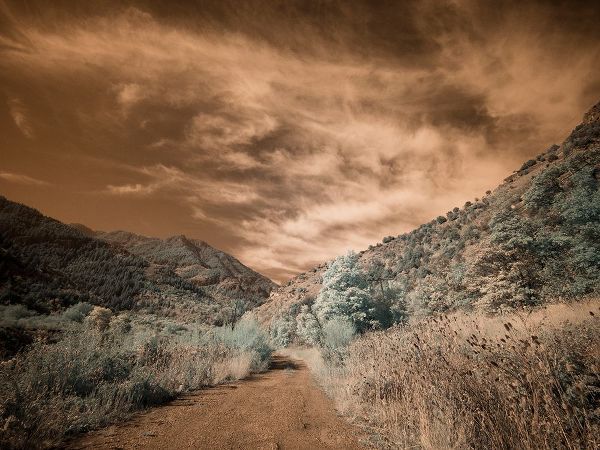 Eggers, Terry 아티스트의 USA-Utah-Infrared of backroad in the Logan Pass area작품입니다.
